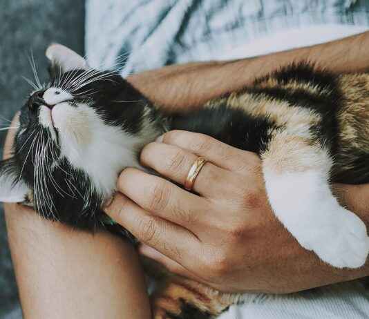 Waar vind je pediatrische spoedzorg zonder wachttijd? Waar vind je pediatrische spoedzorg zonder wachttijd?