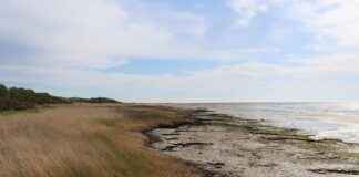 Zorgopties in landelijke gebieden van Nederland Zorgopties in landelijke gebieden van Nederland