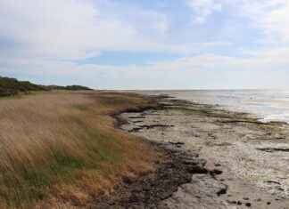 Zorgopties in landelijke gebieden van Nederland Zorgopties in landelijke gebieden van Nederland