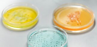 Clinical Pathology Laboratories: Unlocking Secrets Behind Accurate Diagnoses