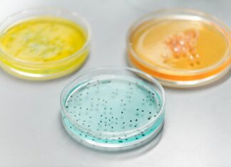 Clinical Pathology Laboratories: Unlocking Secrets Behind Accurate Diagnoses