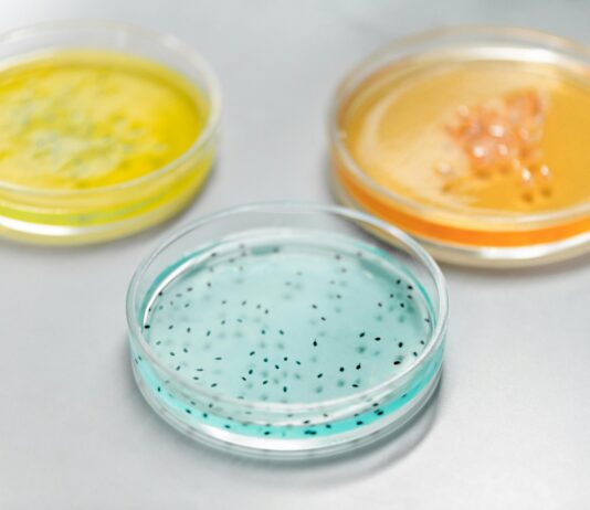 Clinical Pathology Laboratories: Unlocking Secrets Behind Accurate Diagnoses