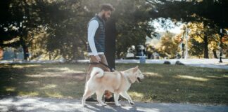 Walk In Clinics: Why They Are Your Best Choice For Quick Care