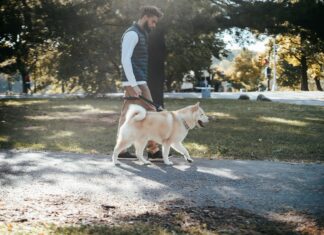 Walk In Clinics: Why They Are Your Best Choice For Quick Care