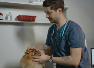 Animal Medical Clinic Secrets: How To Keep Pets Healthy Naturally