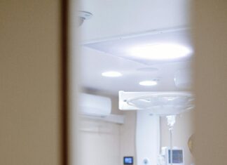 Lice Clinic Near Me: How To Find The Best Expert Help Quickly