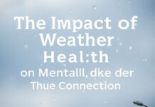 The Impact of Weather on Mental Health: Understanding the Connection The Impact of Weather on Mental Health: Understanding the Connection